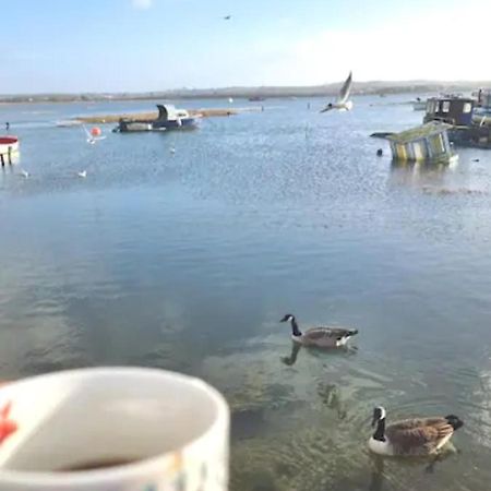 Holes Bay Nature Reserve, Poole, Right Next To The Water Екстер'єр фото