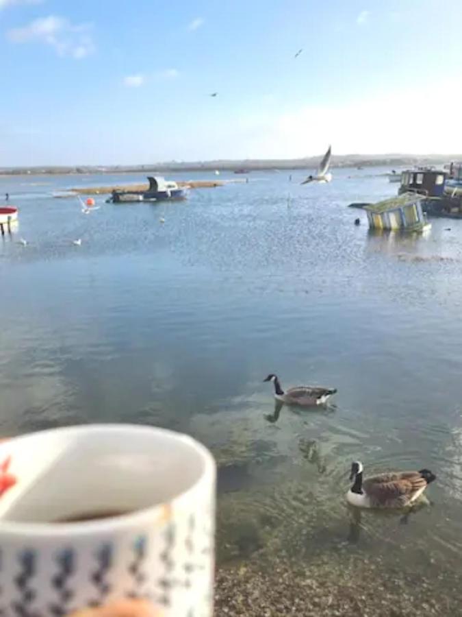 Holes Bay Nature Reserve, Poole, Right Next To The Water Екстер'єр фото